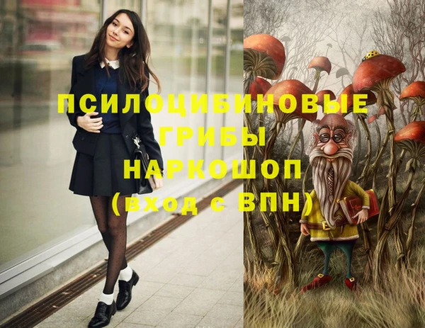 крисы Карпинск