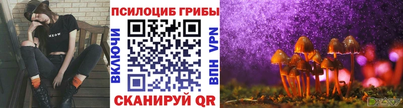 Галлюциногенные грибы Psilocybe  Купить где  Джанкой 