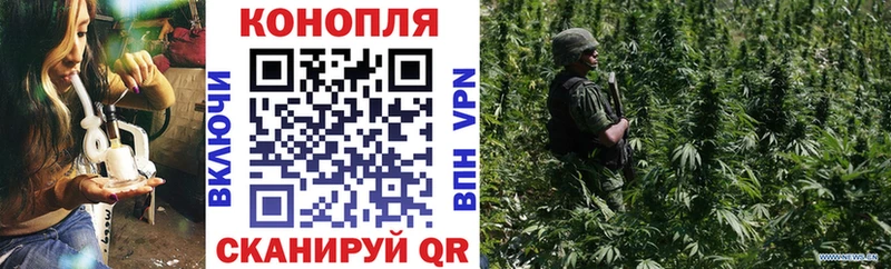 Купить закладки  Джанкой  Марихуана сатива 